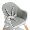 Стульчик для кормления Caretero Bravo Grey