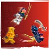 Конструктор LEGO NINJAGO Молодий дракон Рію 132 деталі (71810)