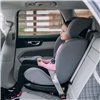 Автокрісло дитяче FreeON Sierra Isofix, 40 - 150, grey