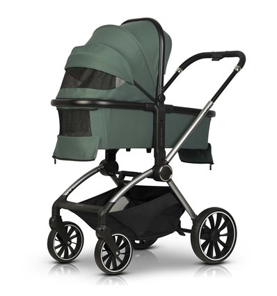 Детская коляска 2 в 1 EasyGo Giro green