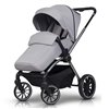 Детская коляска 2 в 1 EasyGo Giro grey