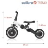 Велосипед трехколесный Colibro Tremix 4 в 1 magnetic