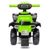 Толокар-квадроцикл Toyz (Caretero) mini Raptor green