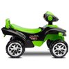 Толокар-квадроцикл Toyz (Caretero) mini Raptor green