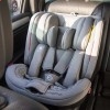 Автокресло детское Coletto Logos IsoFix красное, 0-36 кг