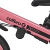 Велосипед трехколесный Colibro Tremix Up 5 в 1 rose