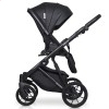 Дитяча коляска 2 в 1 Riko Delta Ecco 15 black