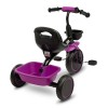 Велосипед триколісний Toyz (Caretero) Loco purple