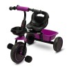 Велосипед триколісний Toyz (Caretero) Loco purple