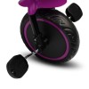 Велосипед трехколесный Toyz (Caretero) Loco purple