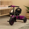 Велосипед триколісний Toyz (Caretero) Loco purple